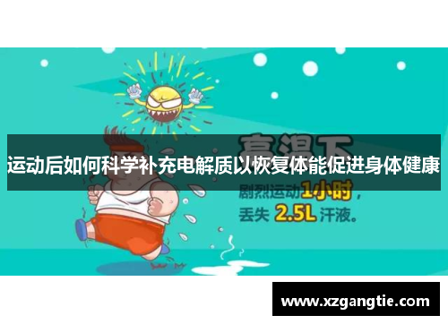 运动后如何科学补充电解质以恢复体能促进身体健康