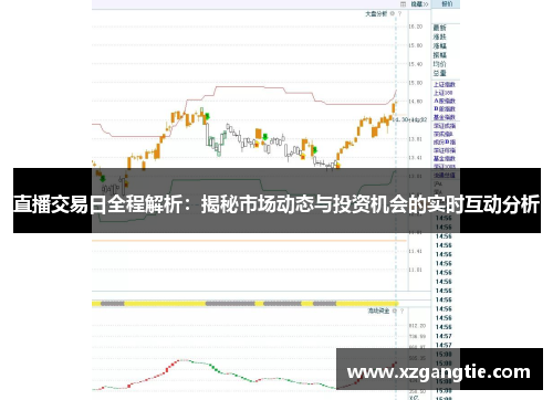 直播交易日全程解析：揭秘市场动态与投资机会的实时互动分析