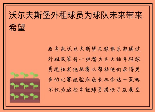 沃尔夫斯堡外租球员为球队未来带来希望